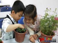 深圳水贝社区开展“感官花园”种植体验工作坊